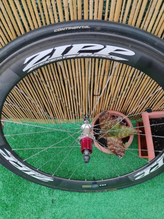 ZIPP 404 Edición Especial 11v