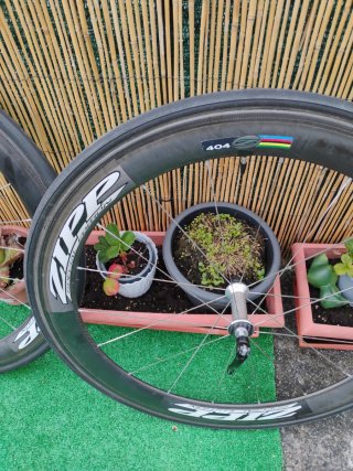 ZIPP 404 Edición Especial 11v