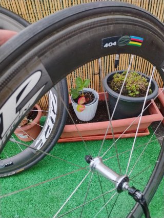 ZIPP 404 Edición Especial 11v