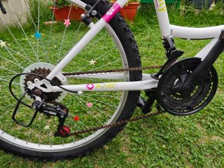 Bicicleta infantil 24 Denbike