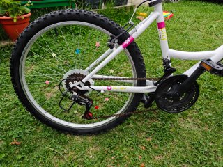 Bicicleta infantil 24 Denbike