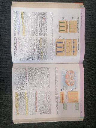 Fisiología médica ; StudentConsult ; StudentCon...