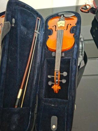 Violínes con funda