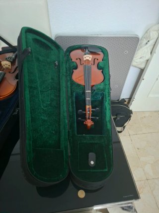 Violínes con funda