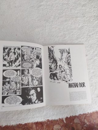 Cuando el cómic es arte. VÍCTOR DE LA FUENTE.