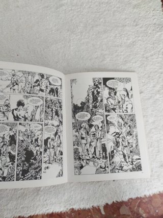 Cuando el cómic es arte. VÍCTOR DE LA FUENTE.