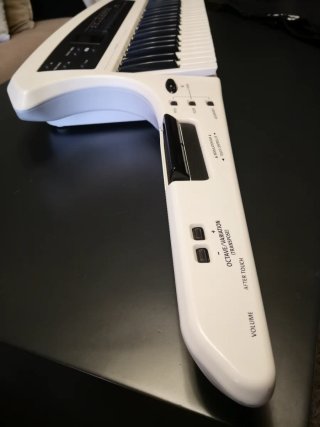 Teclado Roland AX-Synth Keytar