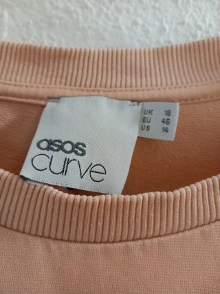 Sudadera ASOS Curve con estampado de insectos