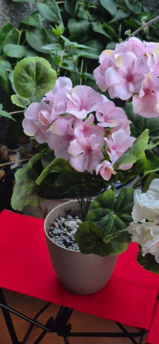 2 Geranios de Tela Rosa y Blanco