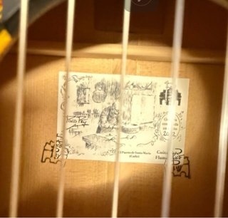 MIS GUITARRAS ROBADAS