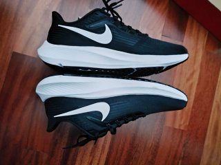 Zapatillas Nike Air Zoom Pegasus 39 Talla 41