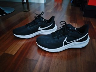 Zapatillas Nike Air Zoom Pegasus 39 Talla 41
