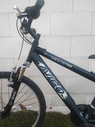 Bicicleta de Montaña