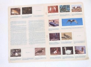ANTIGUO ÁLBUM AÑOS 80