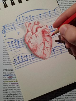 Cuore anatomico disegno a matita Corazón original