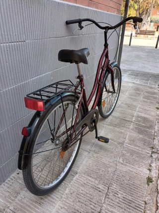 Bicicleta Paseo Amat