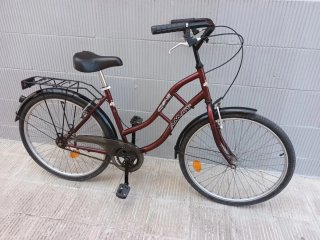 Bicicleta Paseo Amat