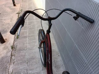 Bicicleta Paseo Amat