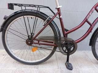 Bicicleta Paseo Amat