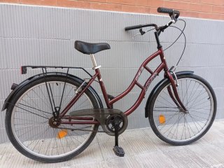 Bicicleta Paseo Amat