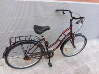 Bicicleta Paseo Amat
