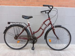 Bicicleta Paseo Amat