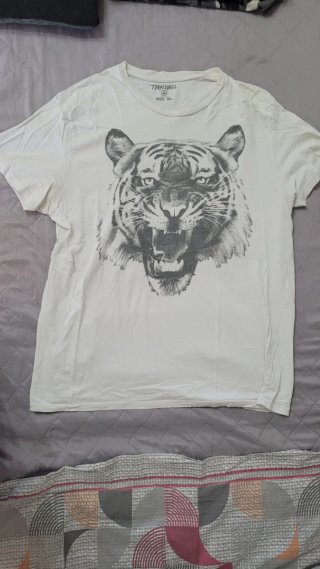 5 magliette t shirt XL