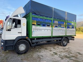 Camión MAN 280 - 12 palets