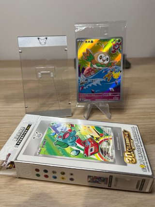 Carta Pokémon Rowlet o Turtwig 019/300-P