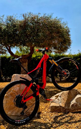 29"Mountain bike full suspensión full carbon
