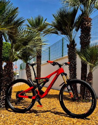 29"Mountain bike full suspensión full carbon