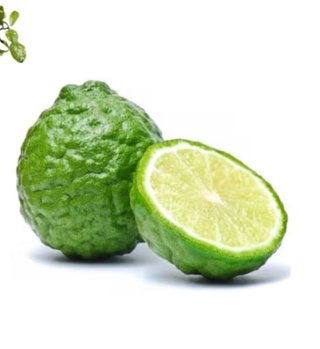 Lime Kaffir-Citrus Histrix