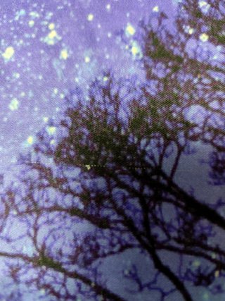 Federa cuscinone lupo notte stellata. Cm 87 x 68
