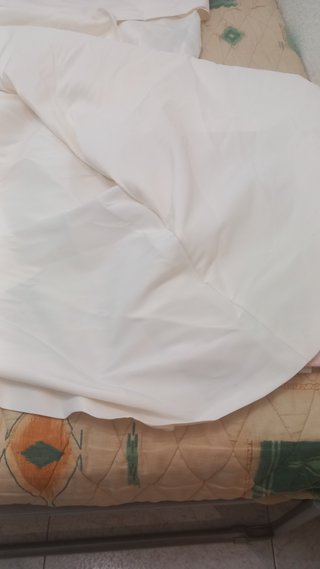 Vestido de Novia Blanco con Velos