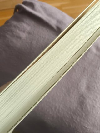 Libro Pedro Montegón y Paret