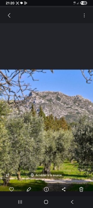 Busco una chica que me ayude en la finca.