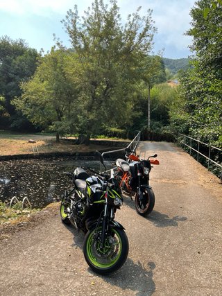Kawasaki Z650 2021