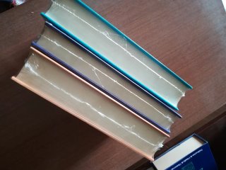 Actes del dotzè col·loqui de llengua i literatura