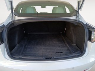 Tesla Model 3 Performance Dual AWD
