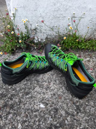 Zapatos trekking Salewa Wildfire Edge Gore-Tex