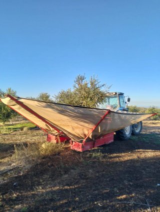 Paraguas recolector aceitunas/almendras