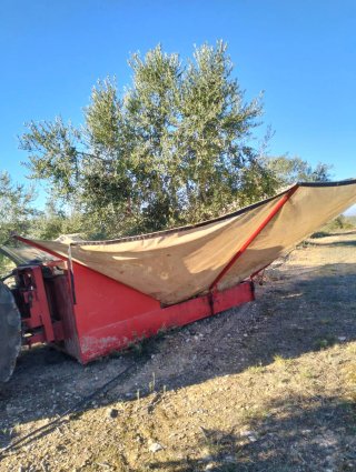 Paraguas recolector aceitunas/almendras