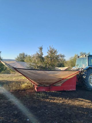 Paraguas recolector aceitunas/almendras