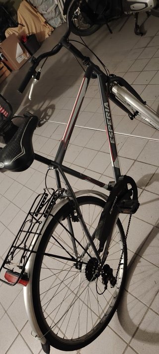 Bicicletta City Bike ESPERIA
