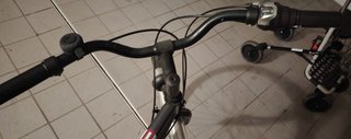 Bicicletta City Bike ESPERIA