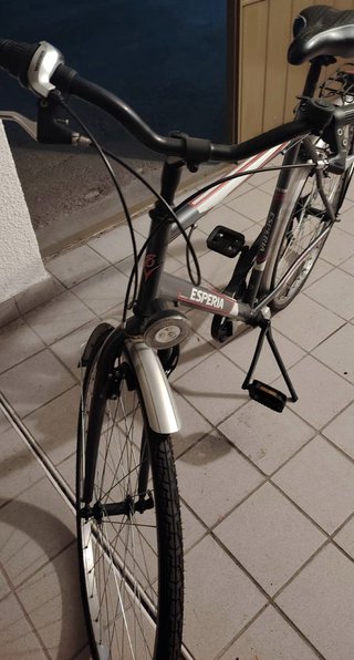 Bicicletta City Bike ESPERIA