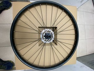 Rueda Trasera 29 Eje 9x135 Tubeless 8/9/10/12V