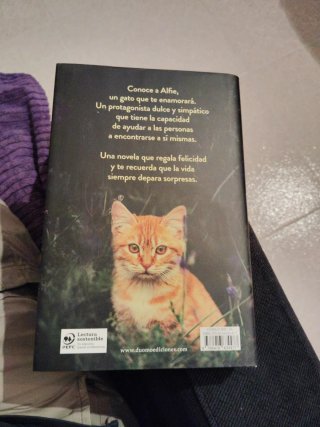 El gato que curaba corazones