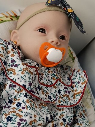 Bebé Reborn Silicona CHOLLO HOY