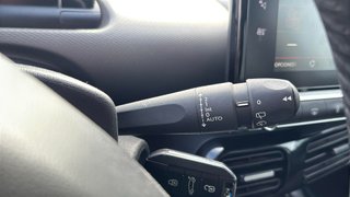 Citroen C4 Cactus PureTech 110 S&S Shine 81 kW (110 CV)